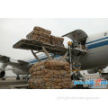 air freight,air shipping logistics to Tampa,USA